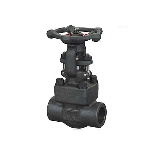 شیر فلکه کشویی کلاس 800 ASTM A105